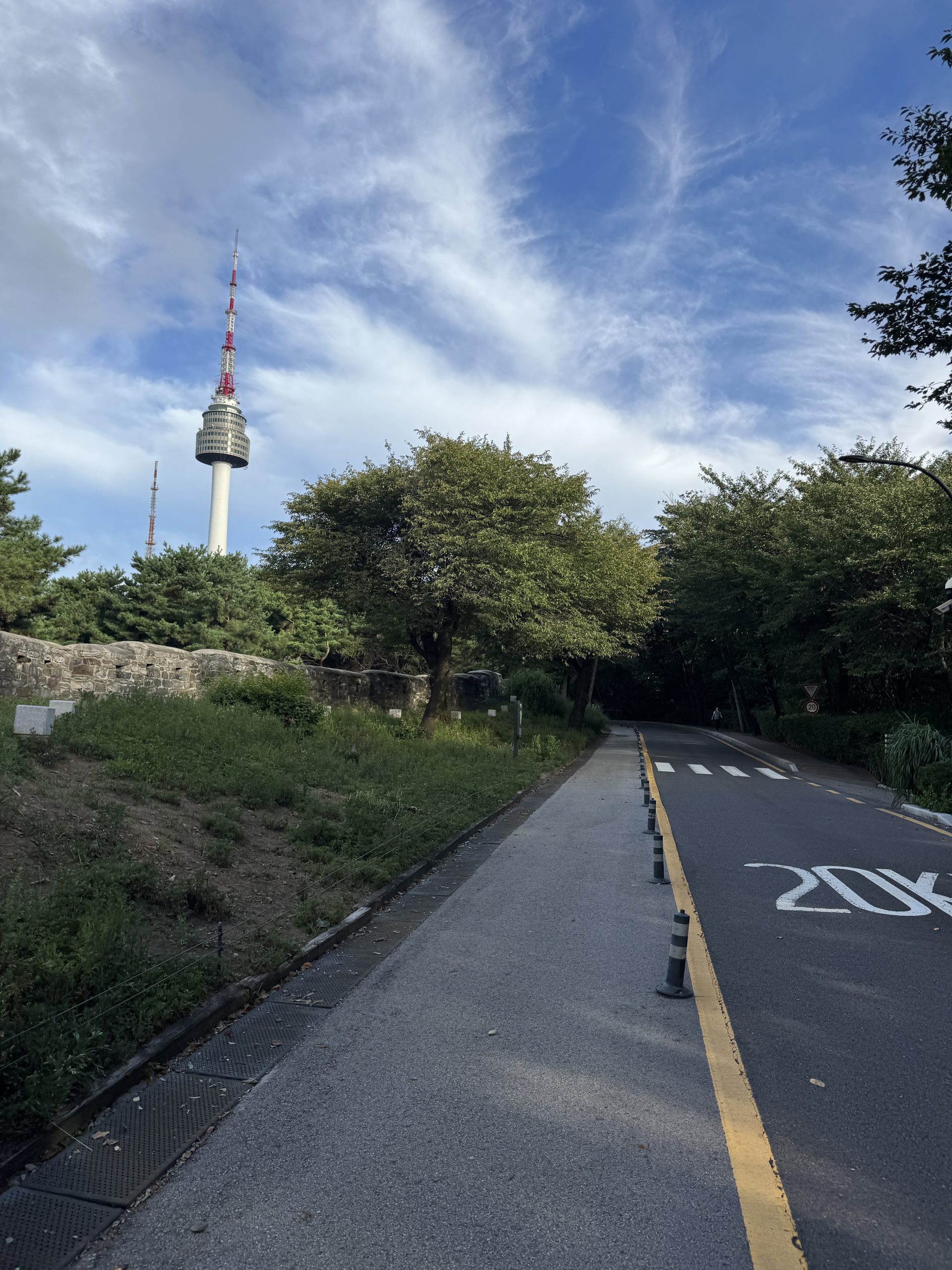 吉川裕樹_近所の山をdigる_写真3.JPG