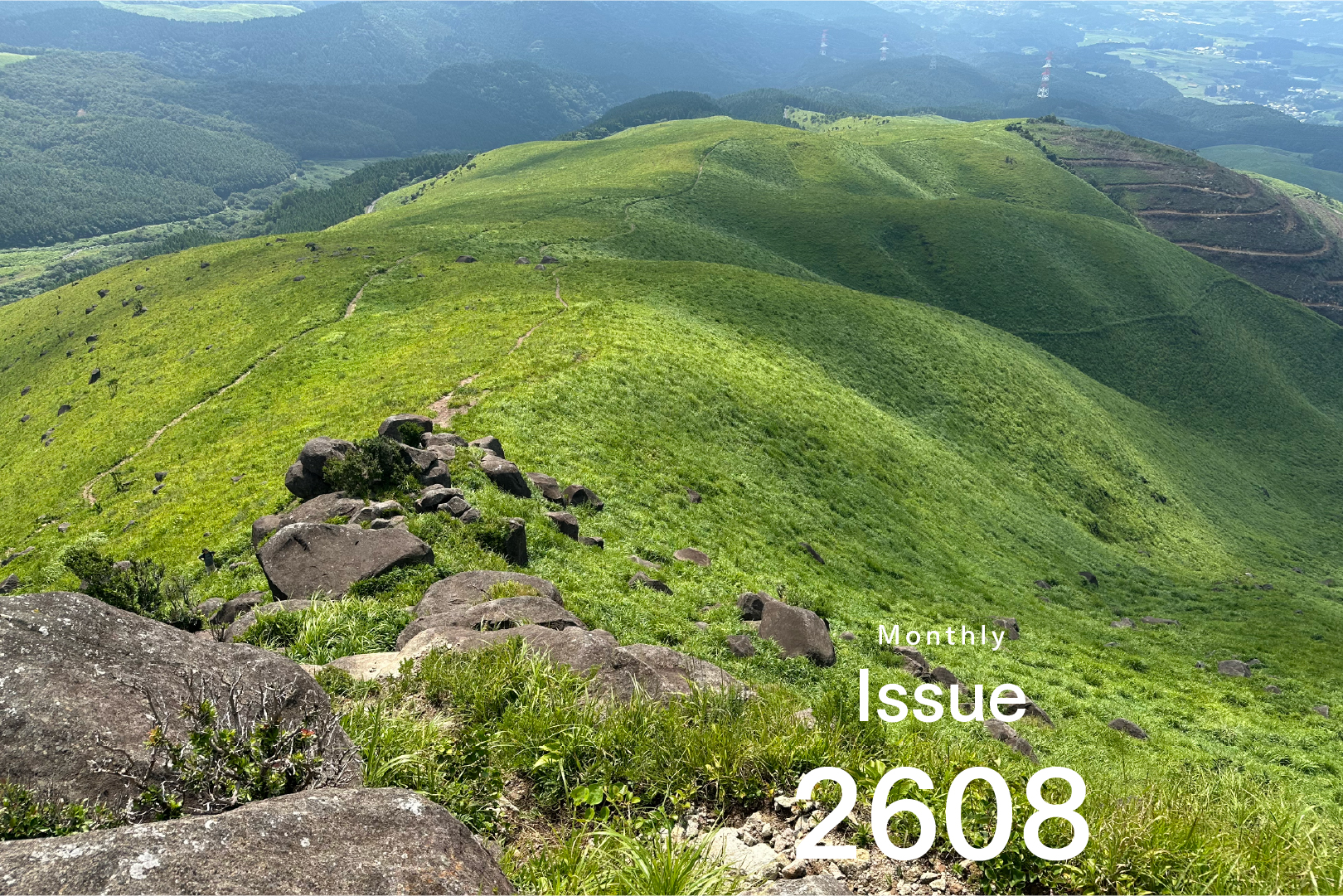 Issue 2608