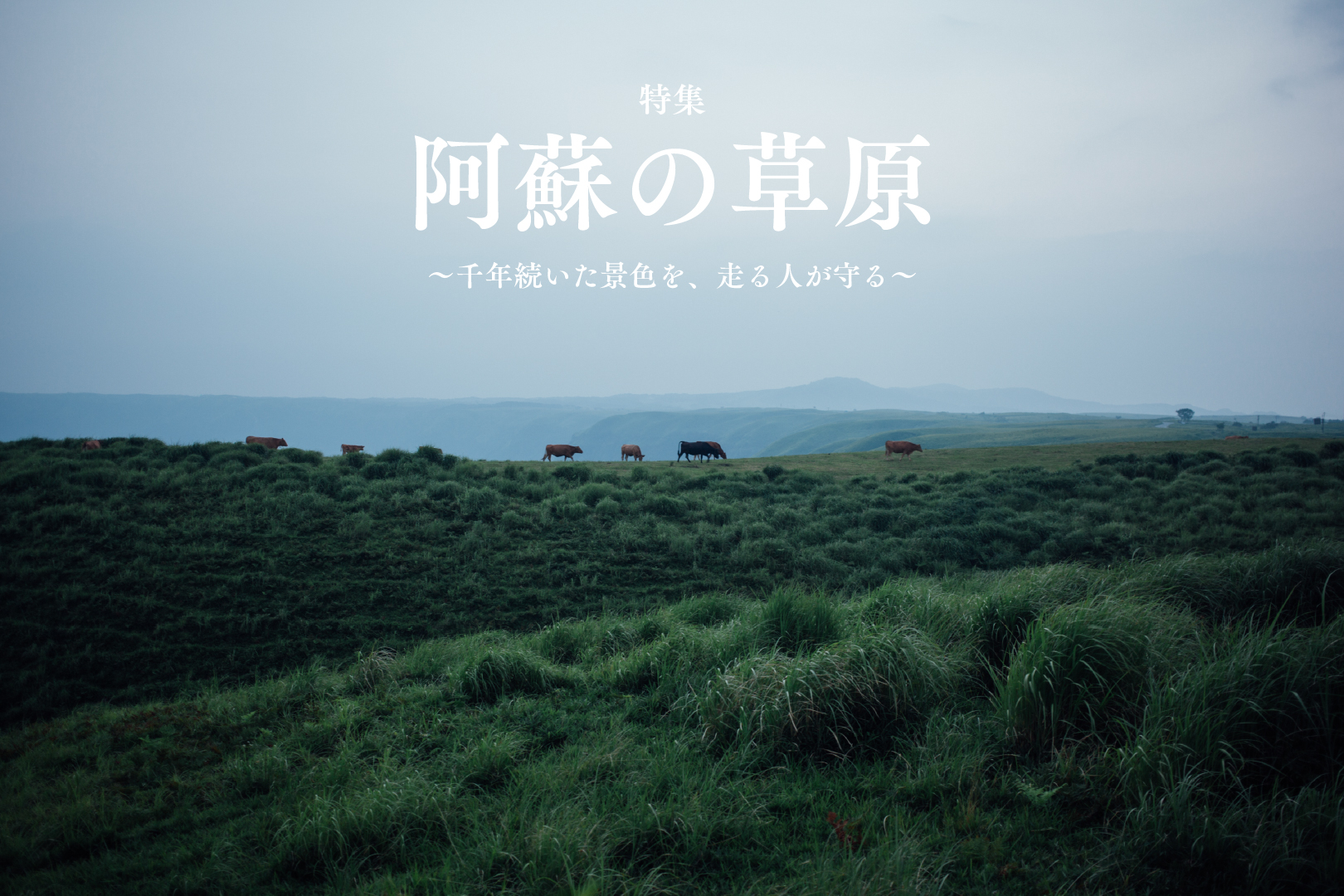 この草原は、自然じゃない