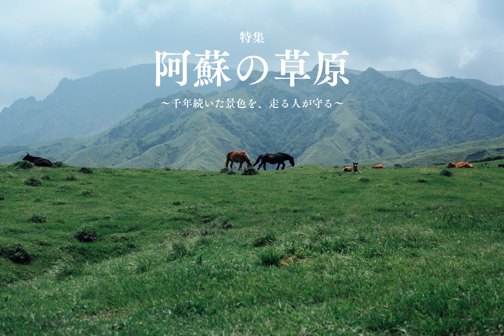 30年後、あの景色は消えるかもしれない
