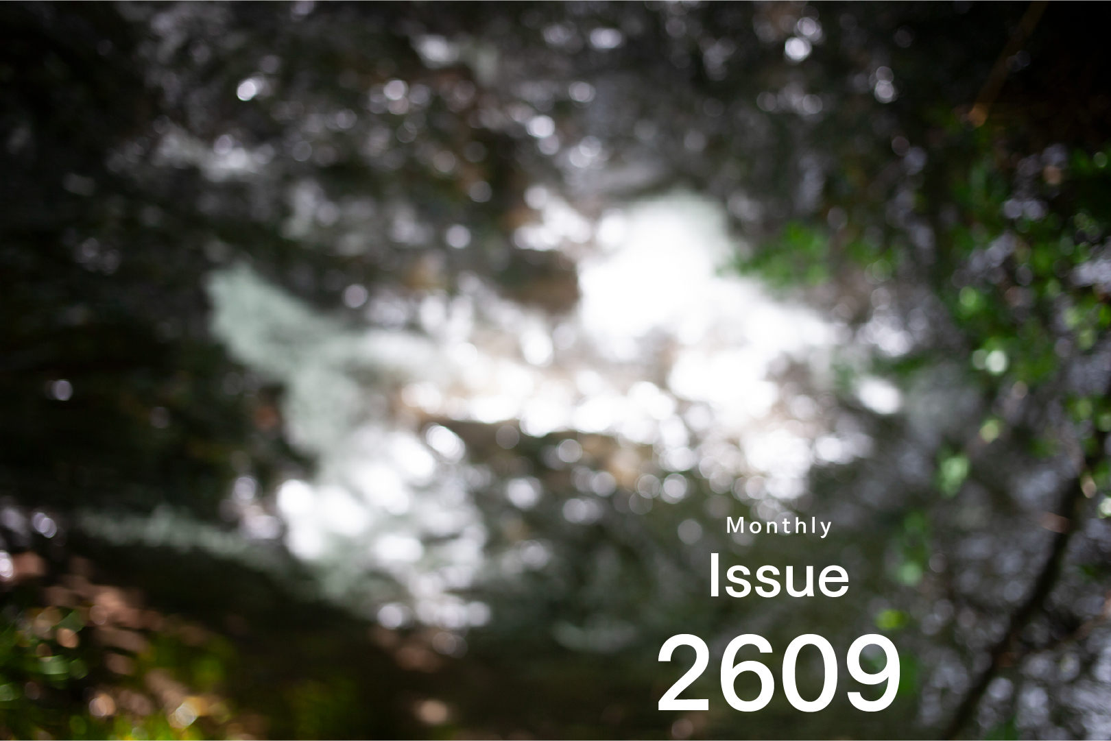 Issue 2609