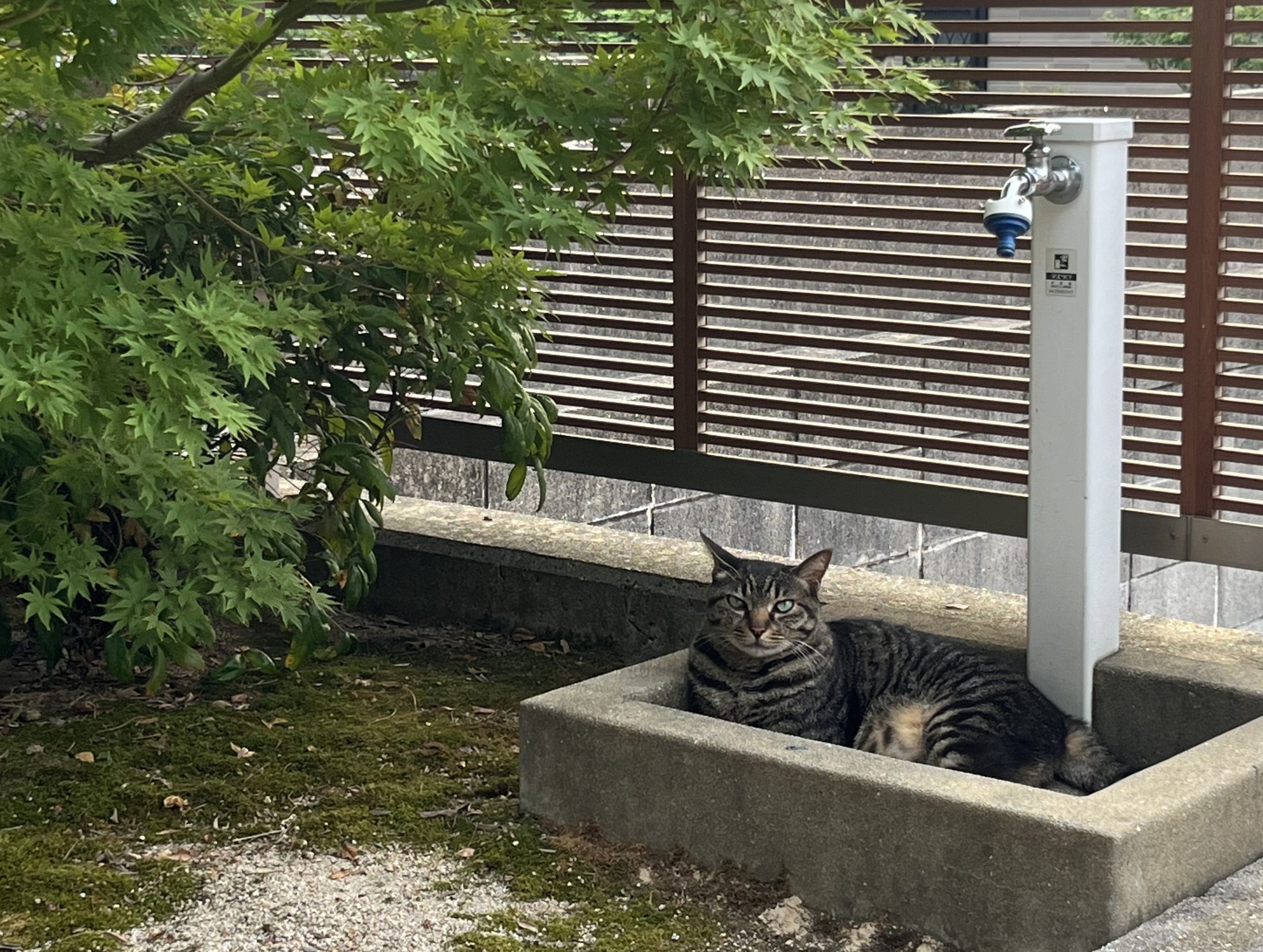 ○○ハラ