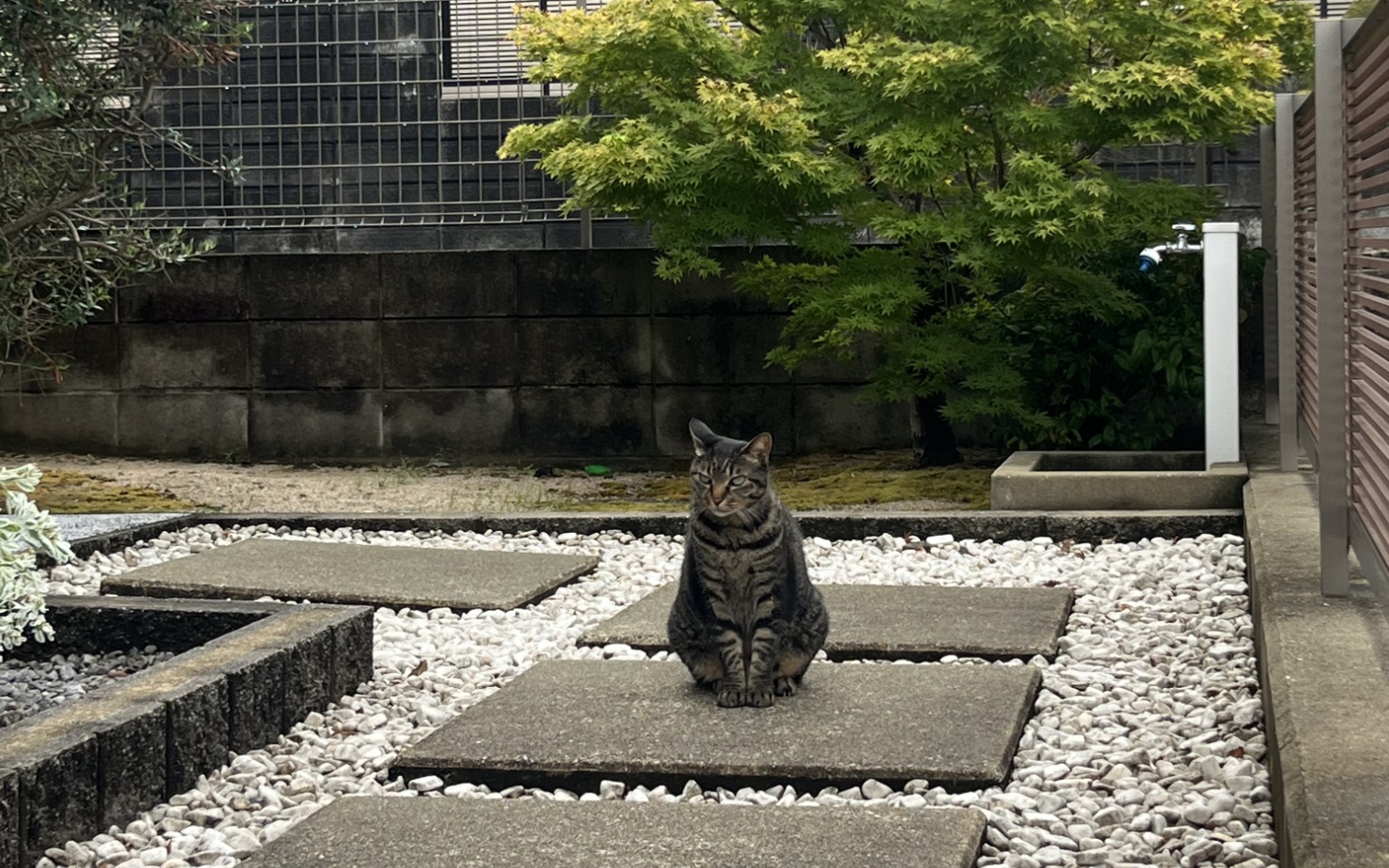サイクル