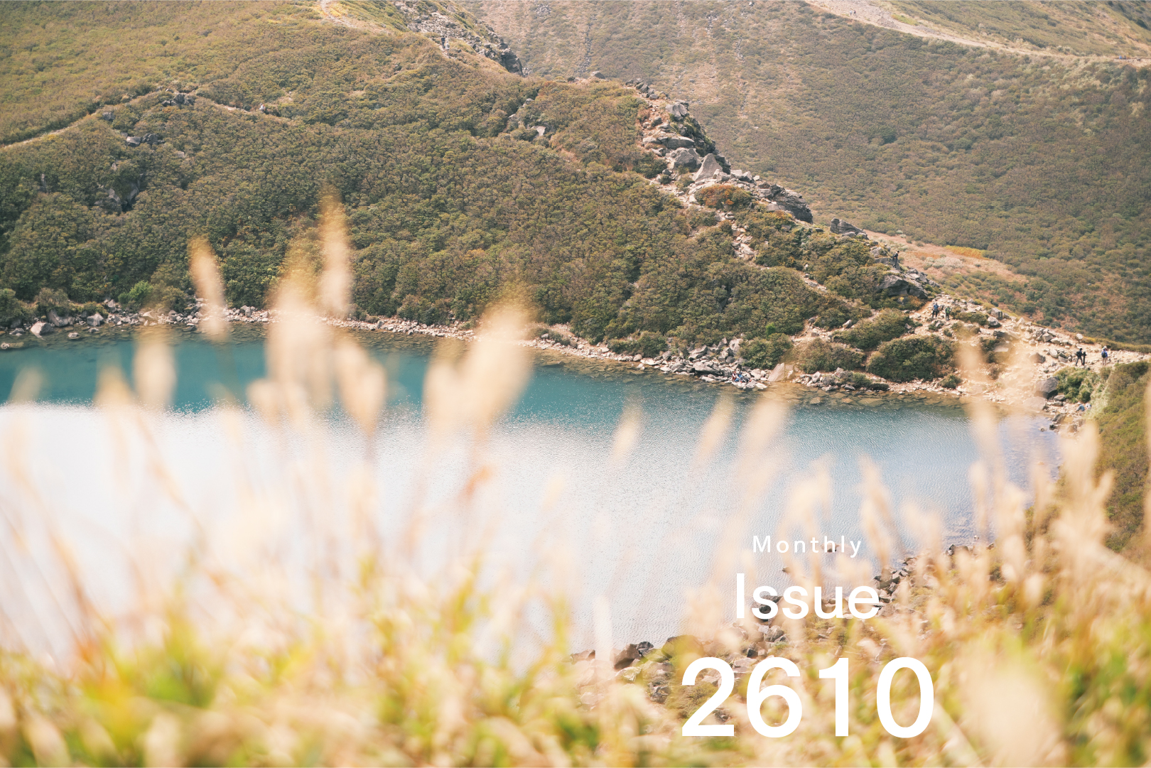 Issue 2610